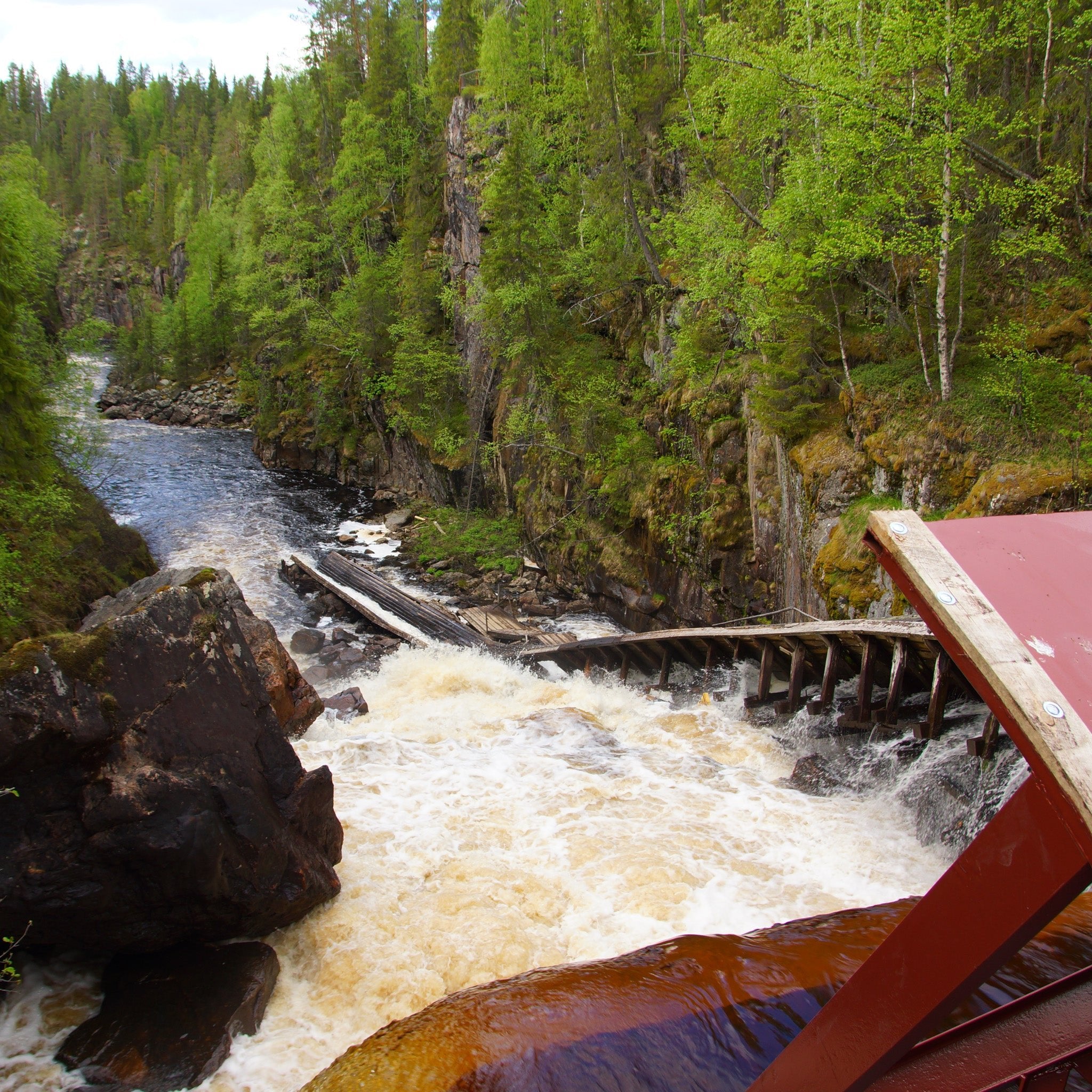 Raging river and dense forest along the Day Tour Hiking to Auttiköngäs Falls by Arctic Circle Snowmobile Park