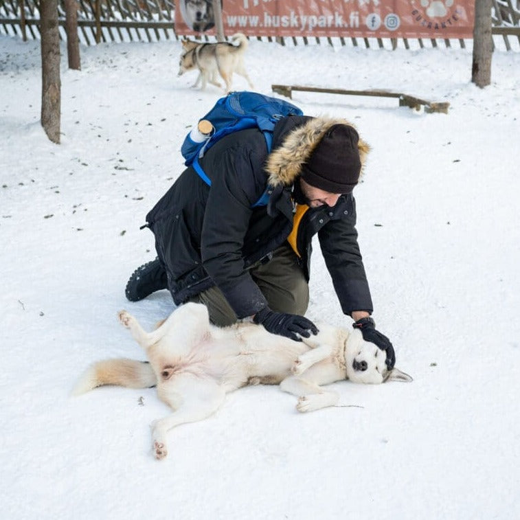 de241340-ea6a-4d79-ad55-f60b94533efc-768x768