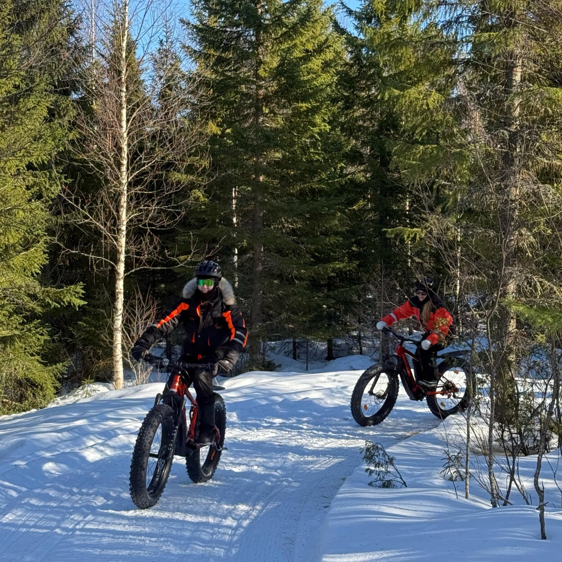 Electric Fat Bike Adventure at a Reindeer Farm through snowy forest trails with Porovaara vendor.