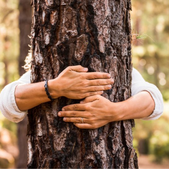 Person embracing a tree in a peaceful forest setting for the Forest Bath experience by Lapin Väki