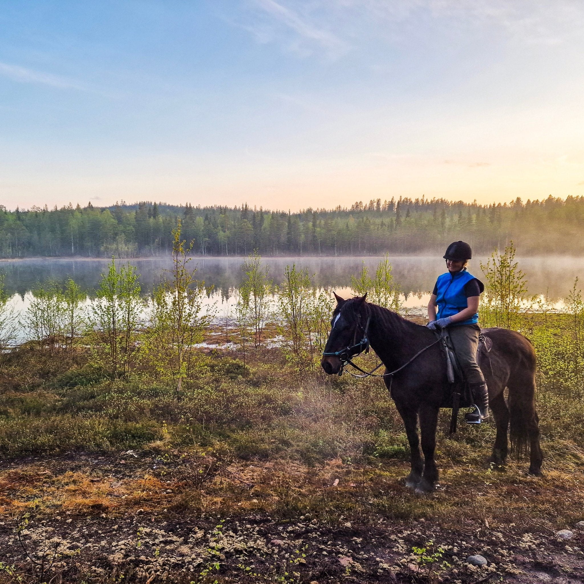 Horse riding whole day at wilderness area advanced rider by lake in Lapland nature Laenlampi ranch