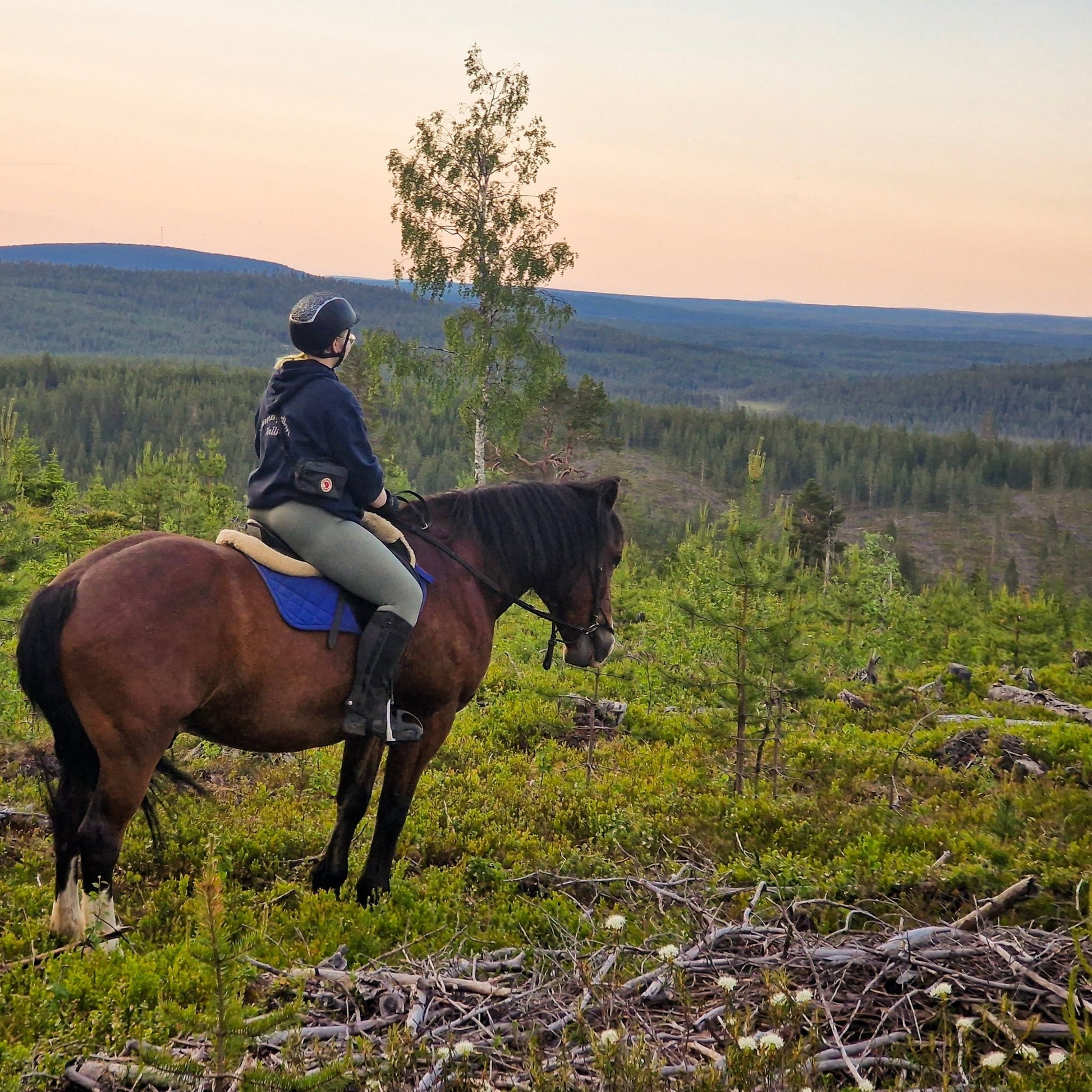 Advanced rider horseback riding whole day at wilderness area with scenic views, Laenlampi ranch, Horse riding whole day at wilderness area (Advanced only).
