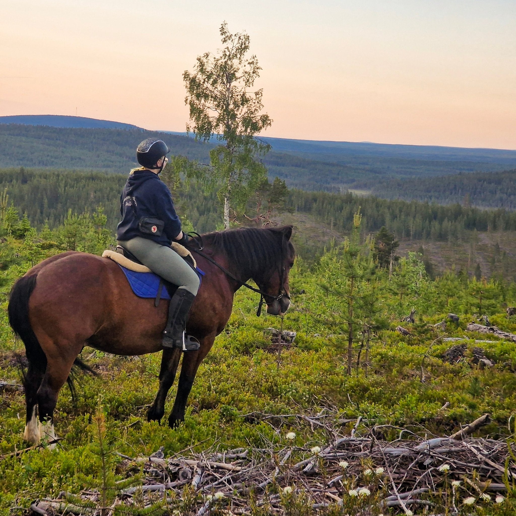 Advanced rider horseback riding whole day at wilderness area with scenic views, Laenlampi ranch, Horse riding whole day at wilderness area (Advanced only).