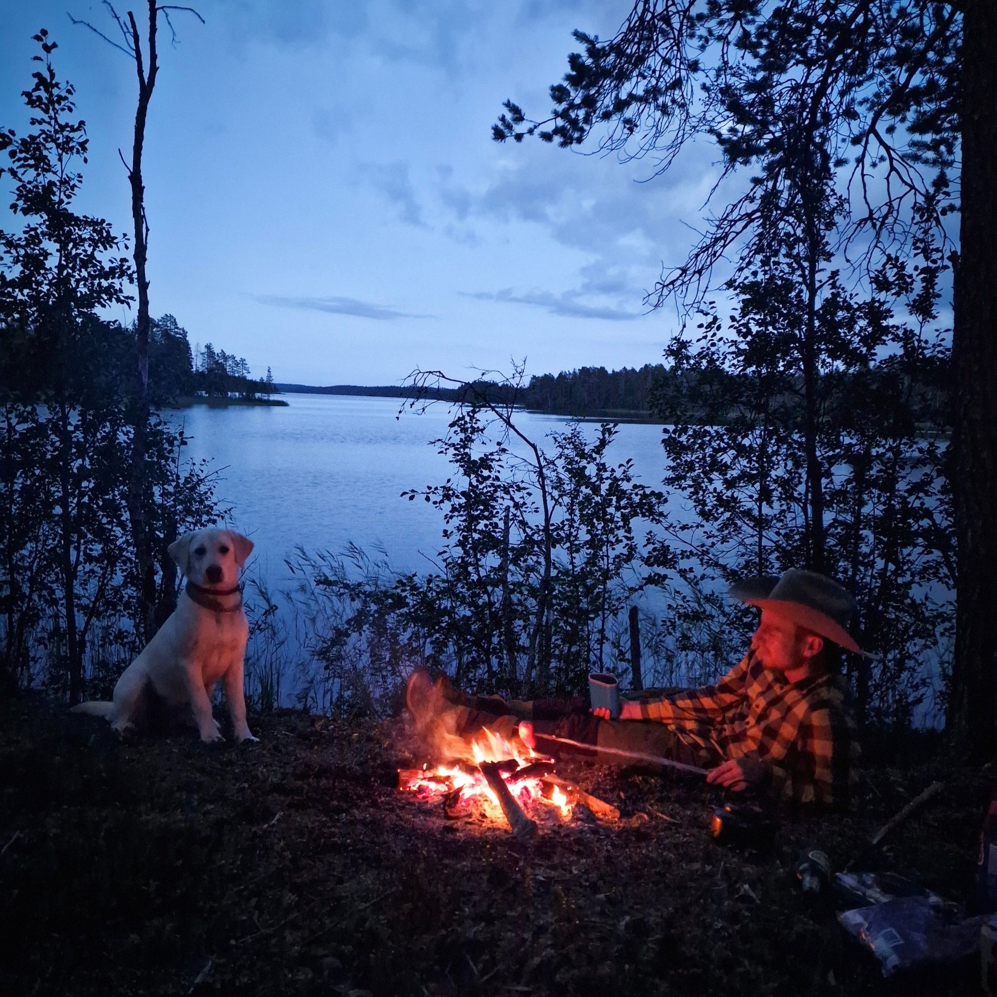 Horse riding whole day at wilderness area (Advanced only) with campfire by lake at dusk Laenlampi ranch