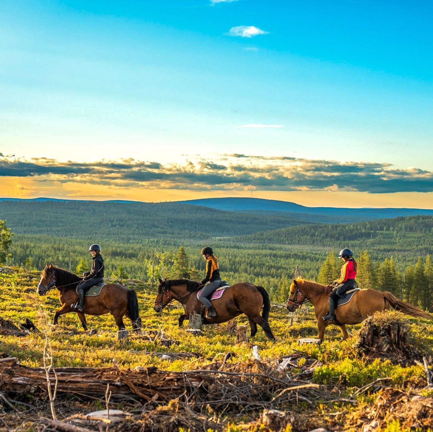 Horse riding whole day at wilderness area for advanced riders in Lapland sunset landscape by Laenlampi ranch