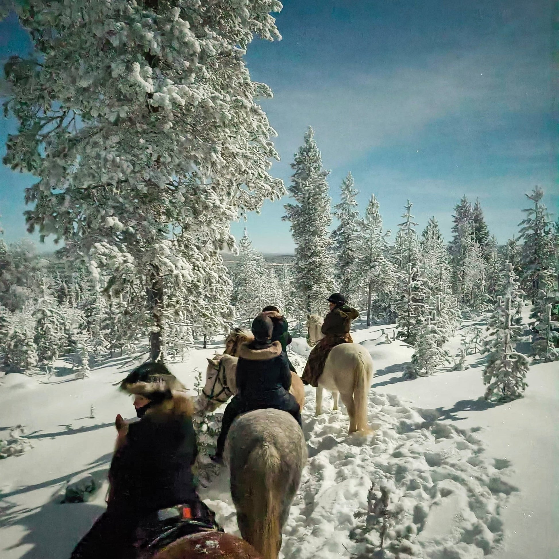 Horse trail riding to the snowy hill with riders on horses through a winter forest by Laenlampi ranch