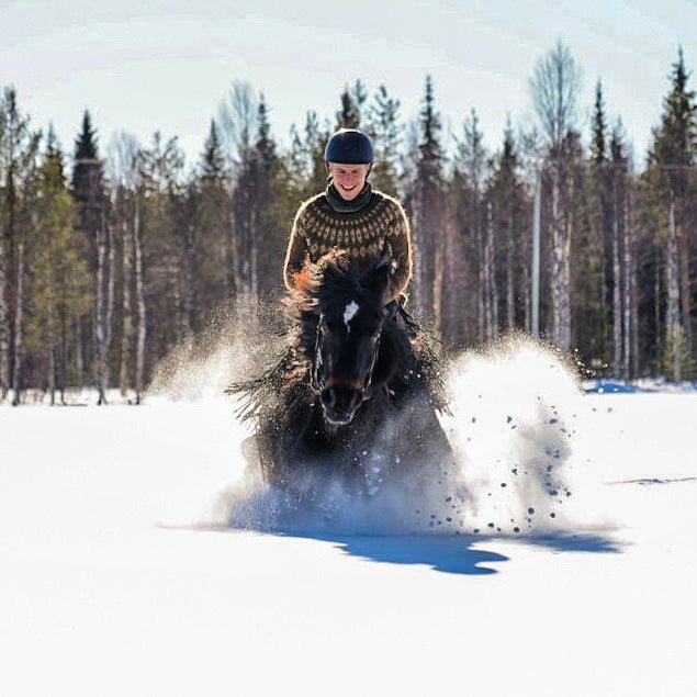 Horse trail riding to the snowy hill with a rider galloping through fresh snow Laenlampi ranch