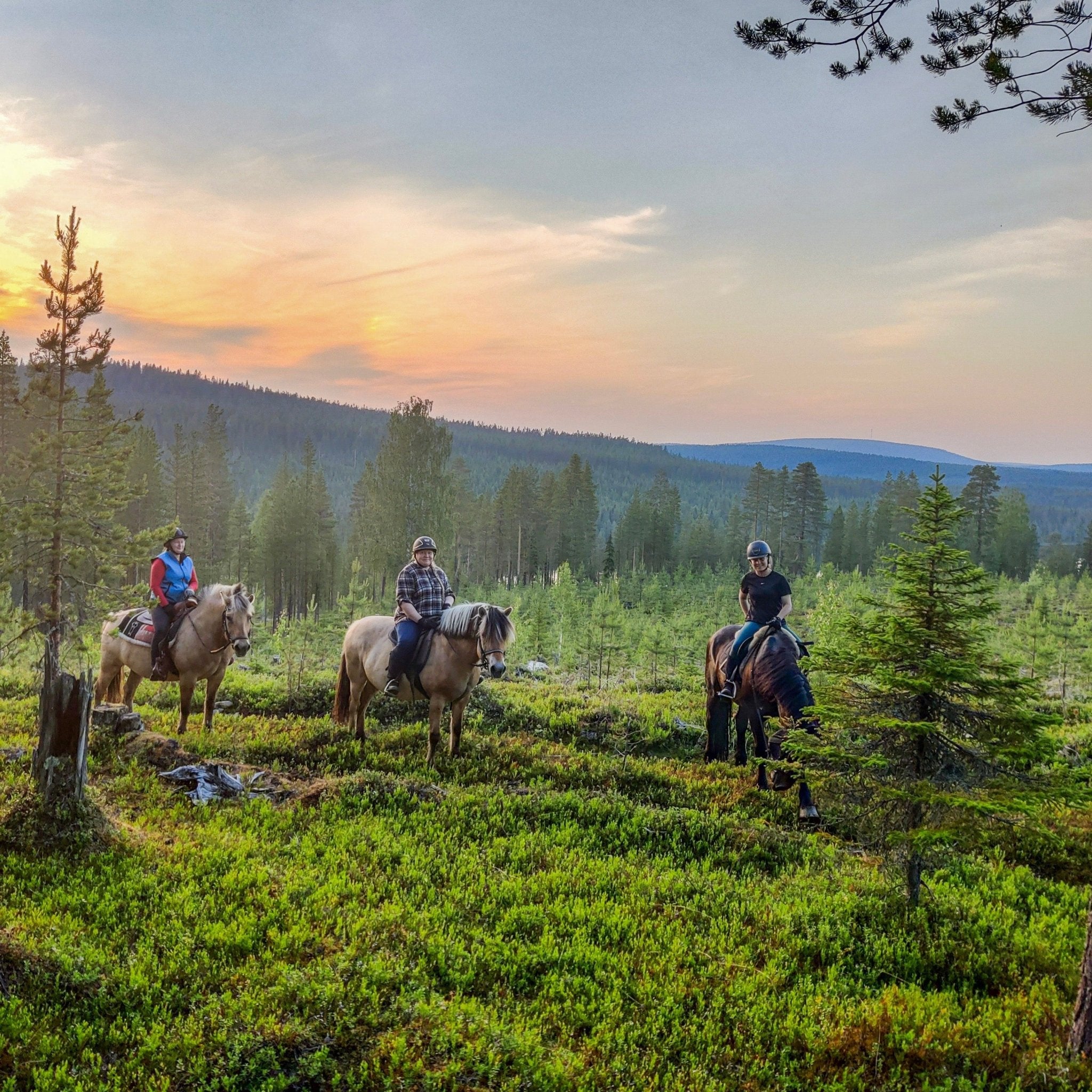 Midnight sun riding to the hill with riders on horseback in Lapland nature at sunset Laenlampi ranch
