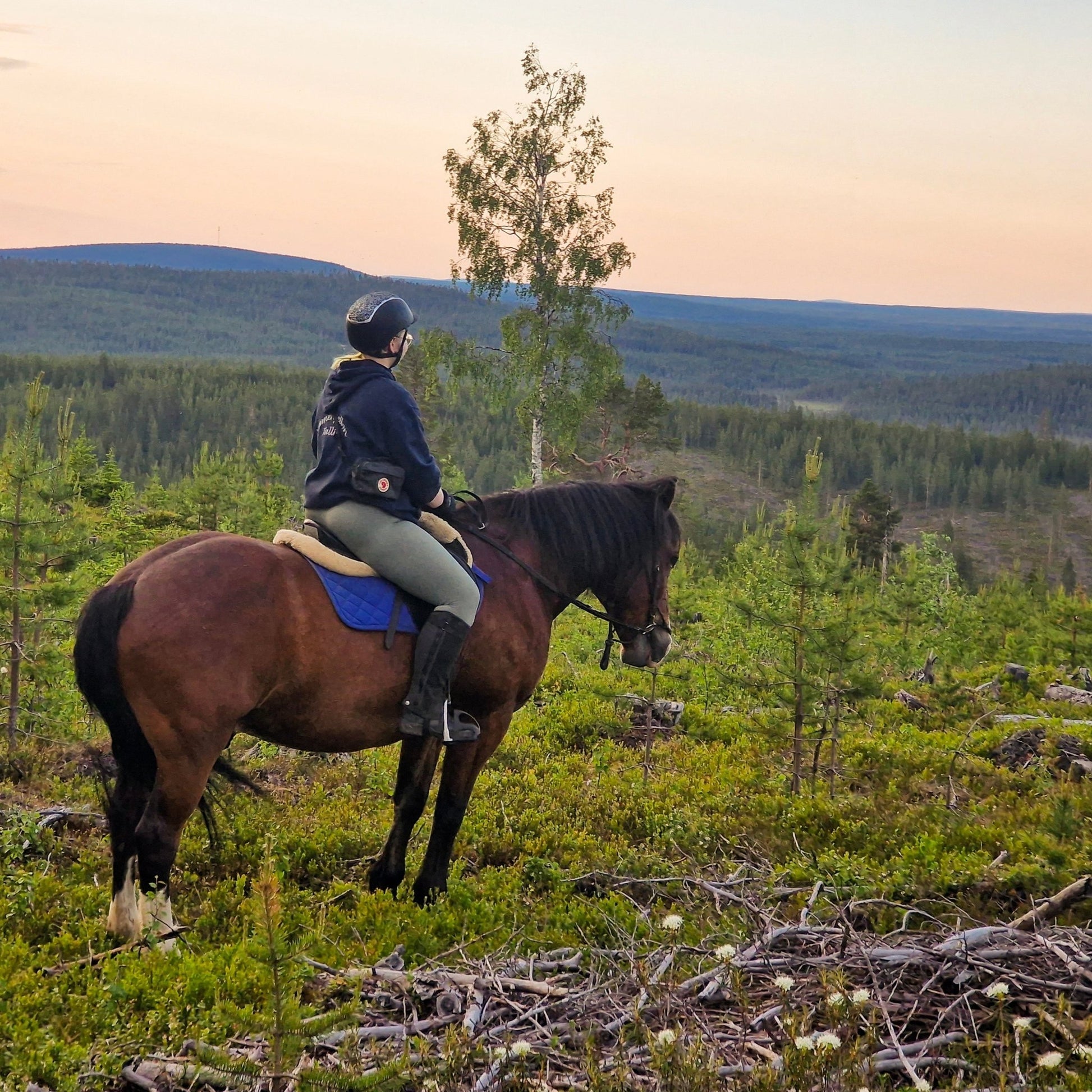 Midnight sun riding to the hill with a rider overlooking Lapland hills at sunset by Laenlampi ranch