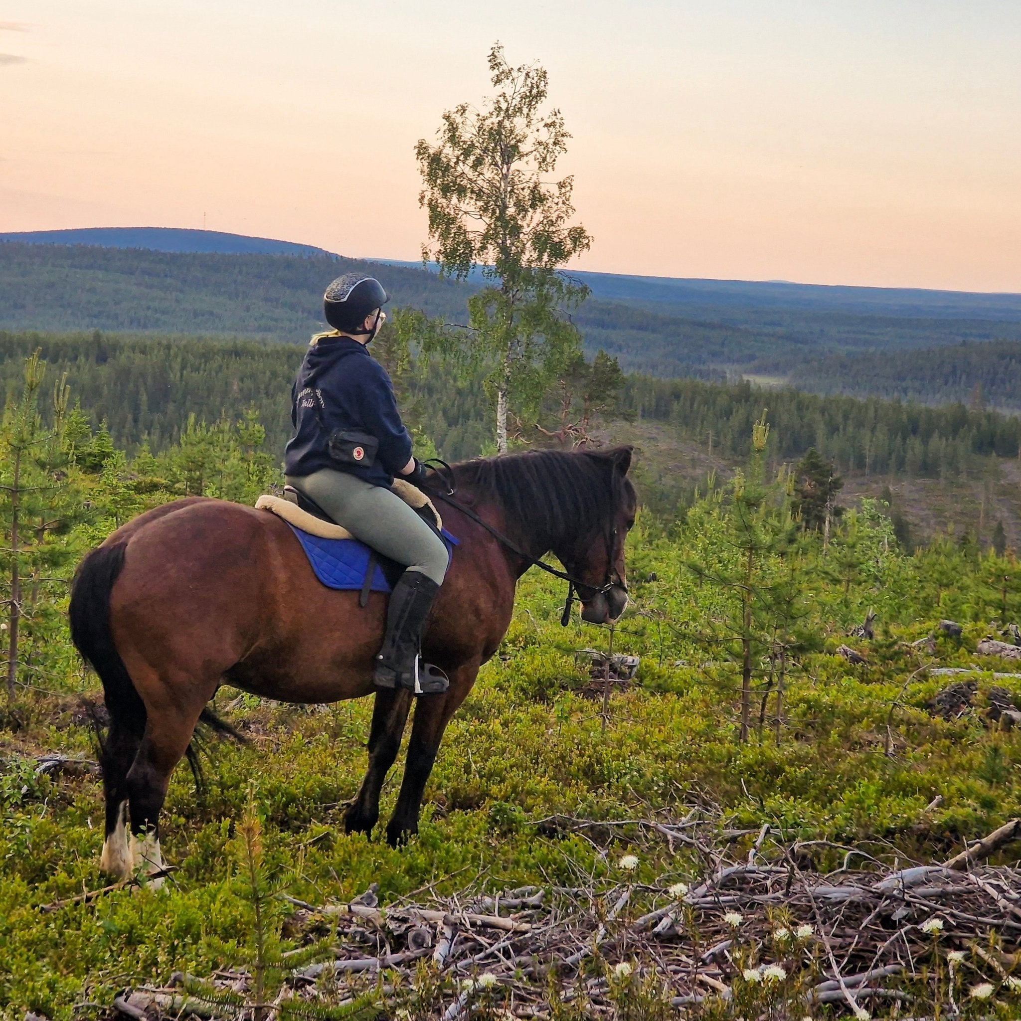 Midnight sun riding to the hill with a rider overlooking Lapland hills at sunset by Laenlampi ranch