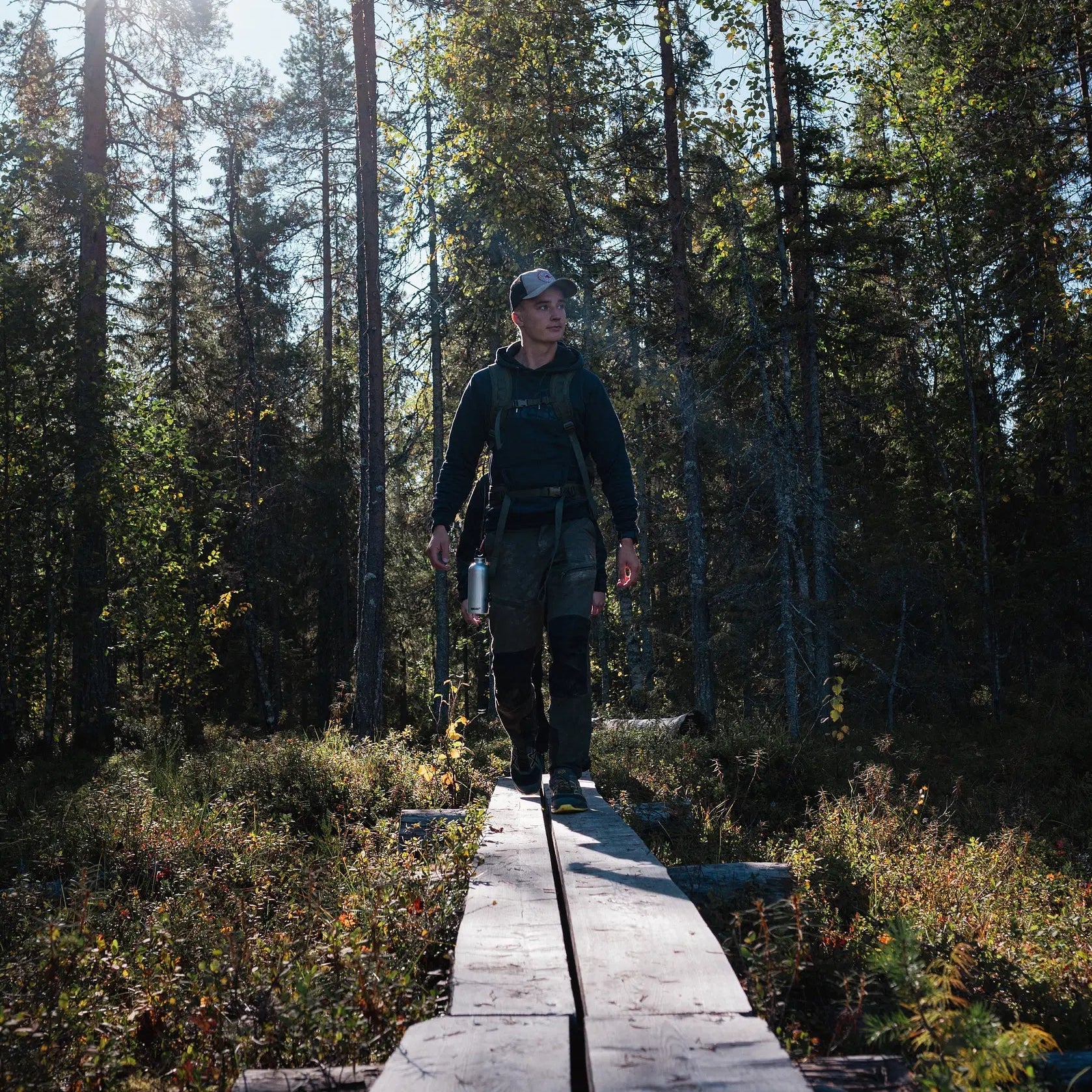 A person walking on a wooden trail in a lush Finnish forest during the Magical Forest Hiking Adventure Pure Lapland