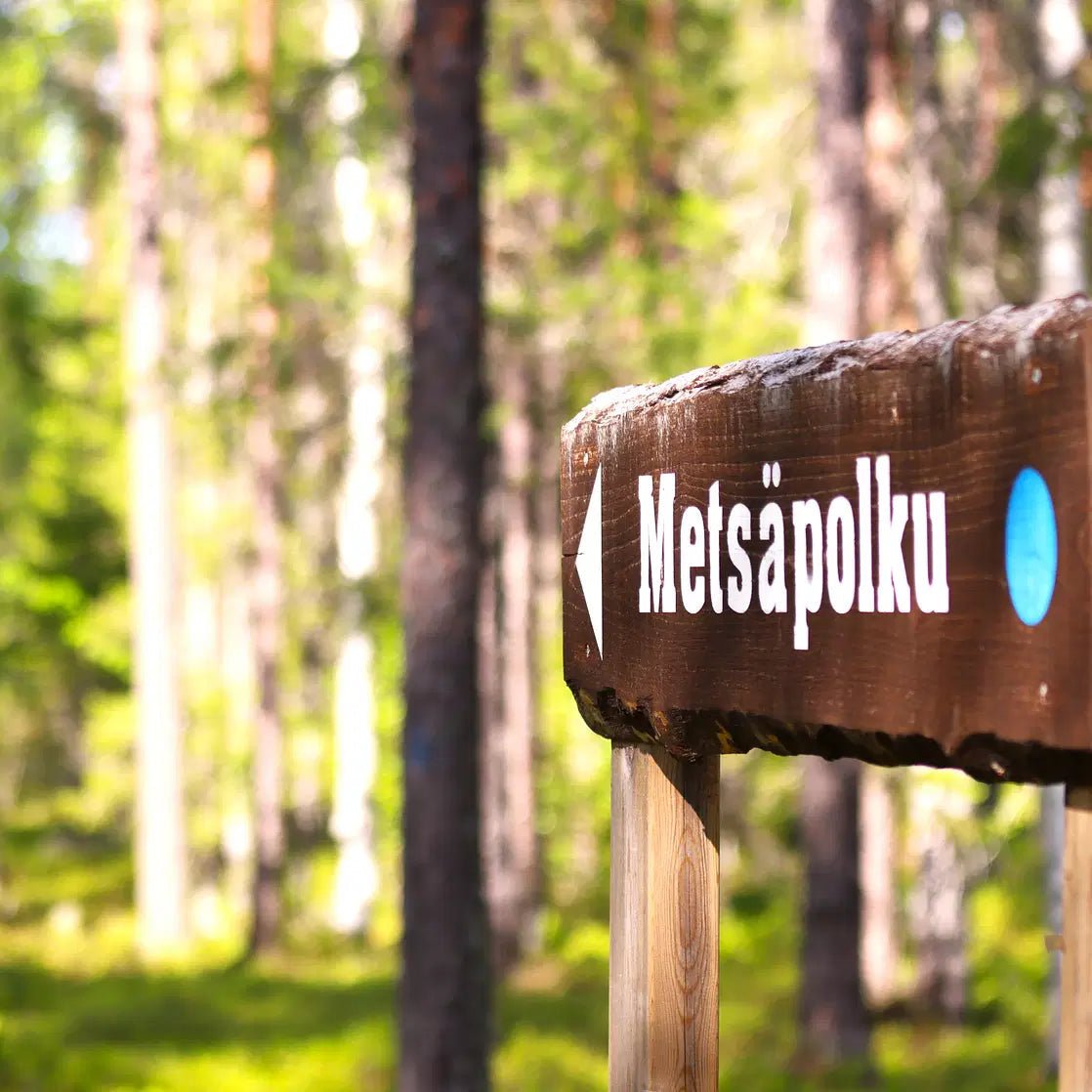 Wooden Metsäpolku forest trail sign in lush Finnish forest for Magical Forest Hiking Adventure by Pure Lapland