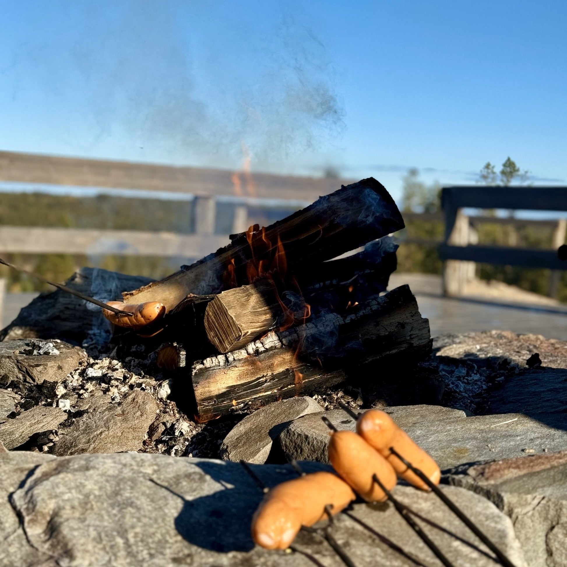 Traditional fire-making with sausages roasting over a campfire in Lapland nature, Reindeer, Berries & Fire – Porovaara
