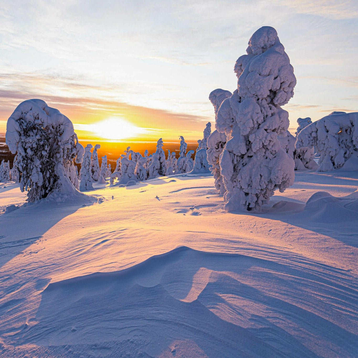 Sunset over snow-covered trees in Riisitunturi wilderness adventure photography tour by Beyond Arctic