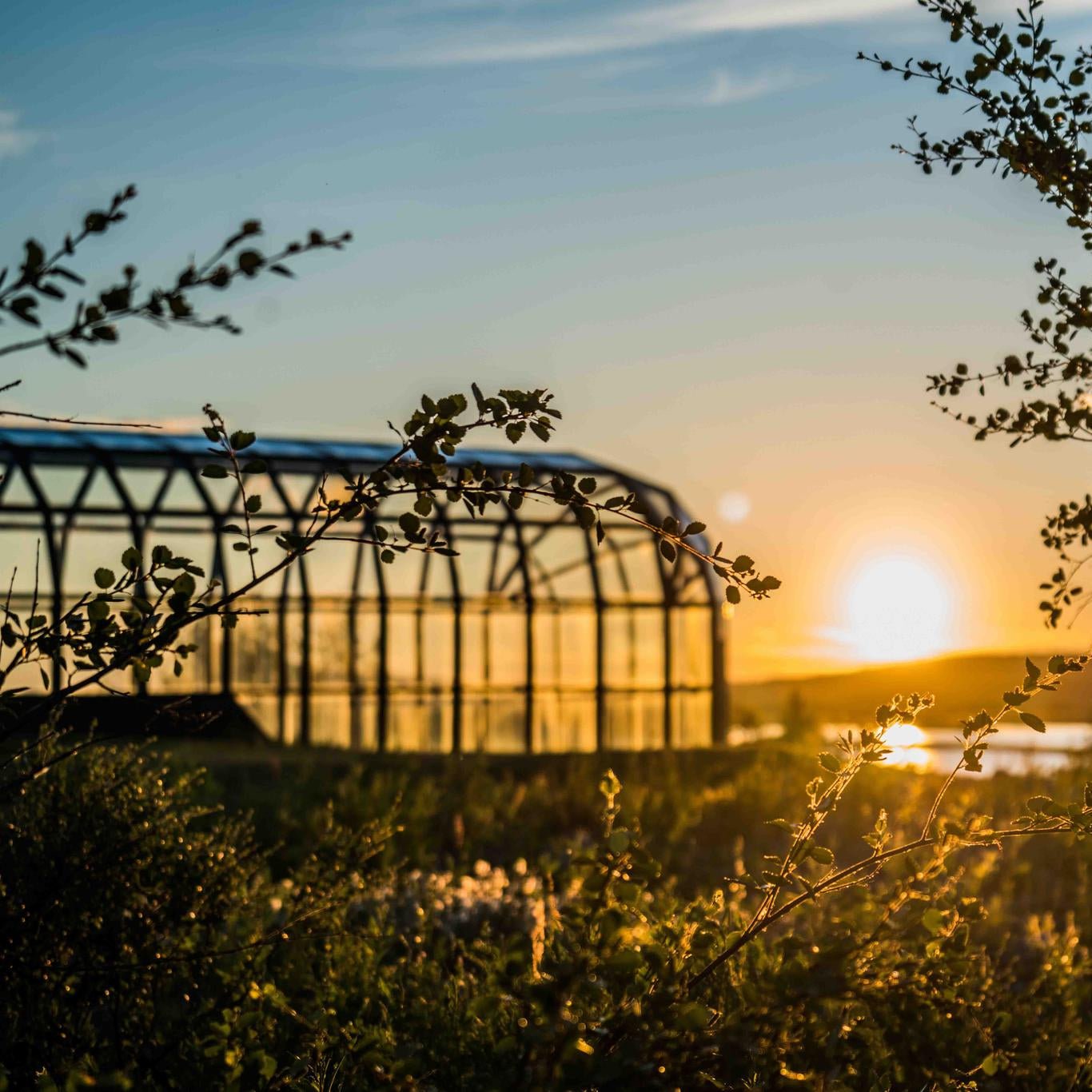 Photography tour in Rovaniemi capturing sunset and nature scenery with a unique greenhouse by Beyond Arctic