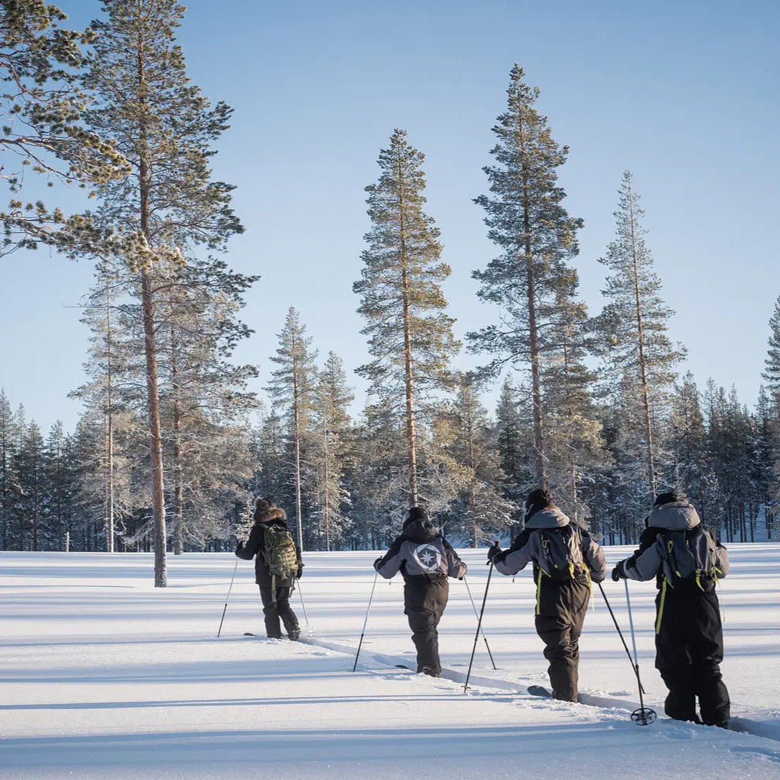 Four people skiing across a snow-covered landscape with tall trees in winter for Skiing and Fishing on Ice Adventure