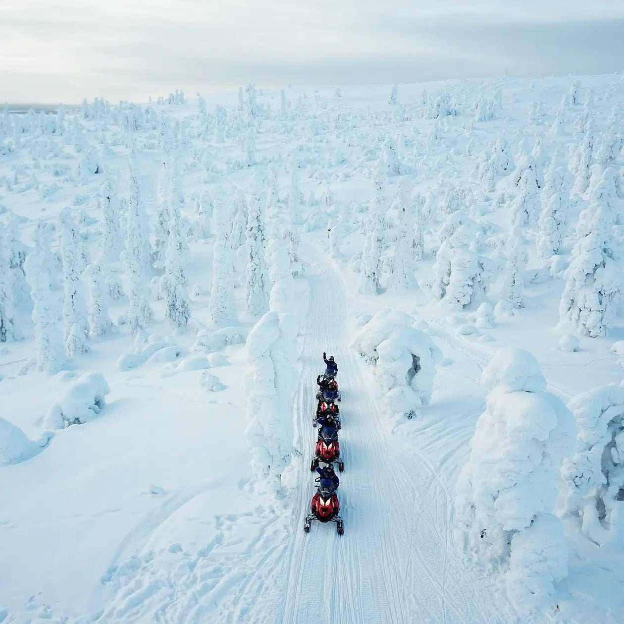 Snowmobile Safari for Adults riding through snowy forest trails in Rovaniemi by Safartica