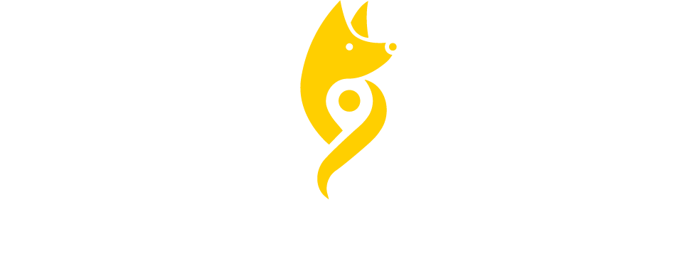 Your City Guide